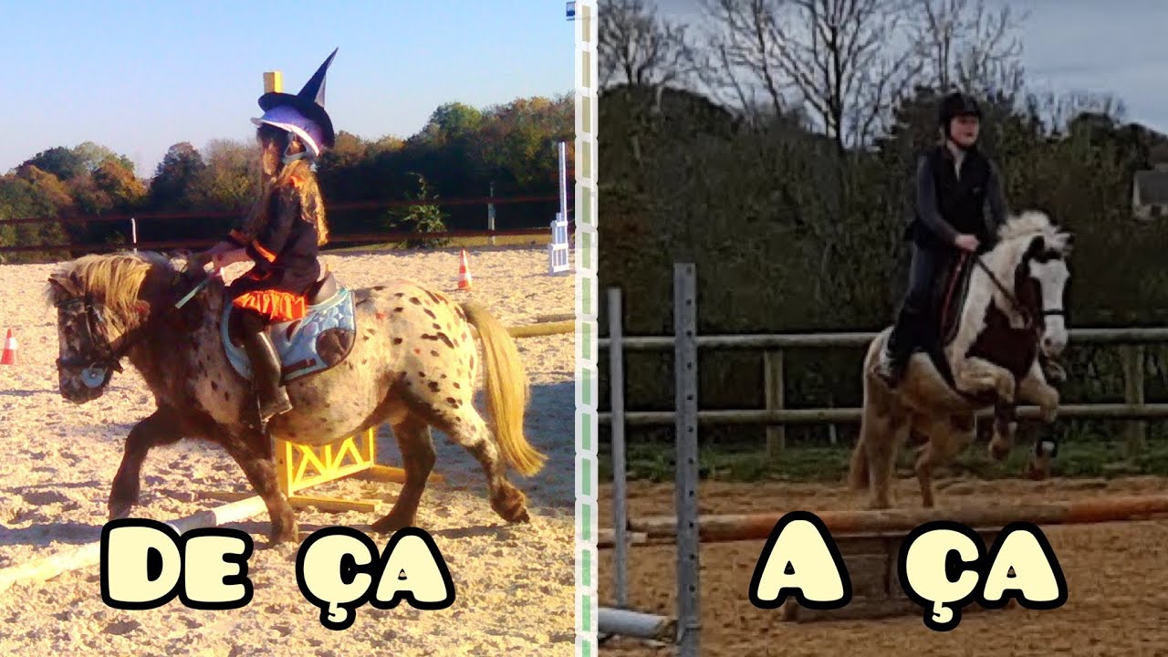 Mon évolution à cheval ( 2011 - 2022 )