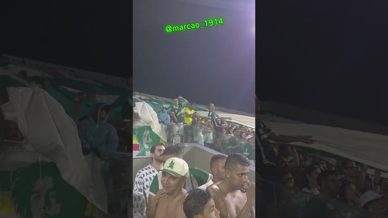 Palmeiras 4 X 0 Capivariano