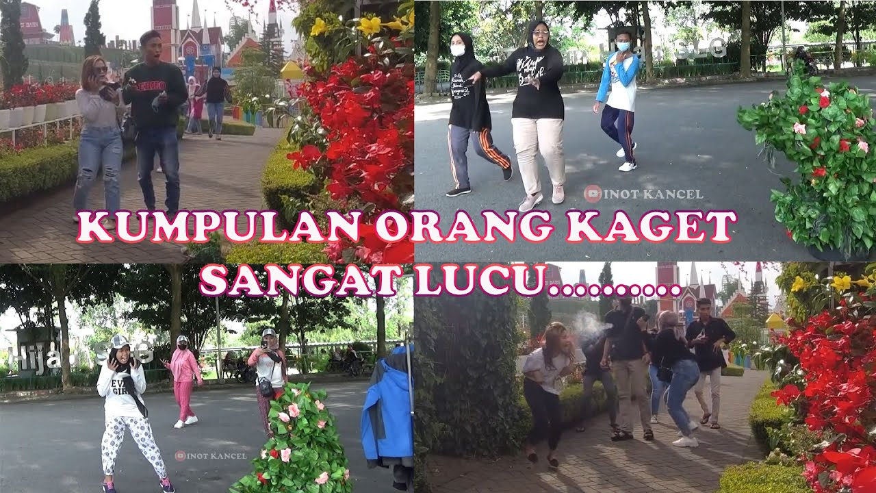 KOMPILASI REAKSI ORANG-ORANG KAGET PALING LUCU...!! PRANK MANUSIA POHON