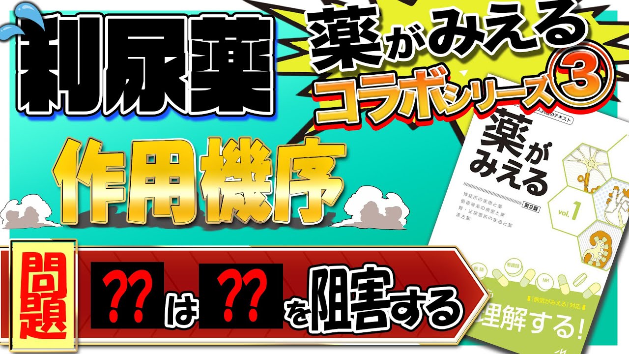 【得点源に変えられる！】利尿薬の作用機序を『薬がみえる』を用いて全部解説！（前半）