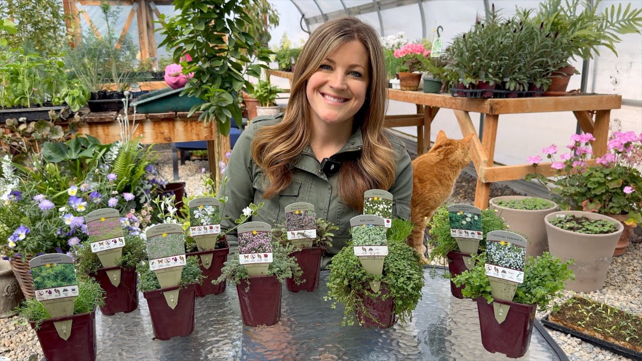 Groundcover Plant Haul! 🌿 31 Variety Show & Tell! 😍 // Garden Answer
