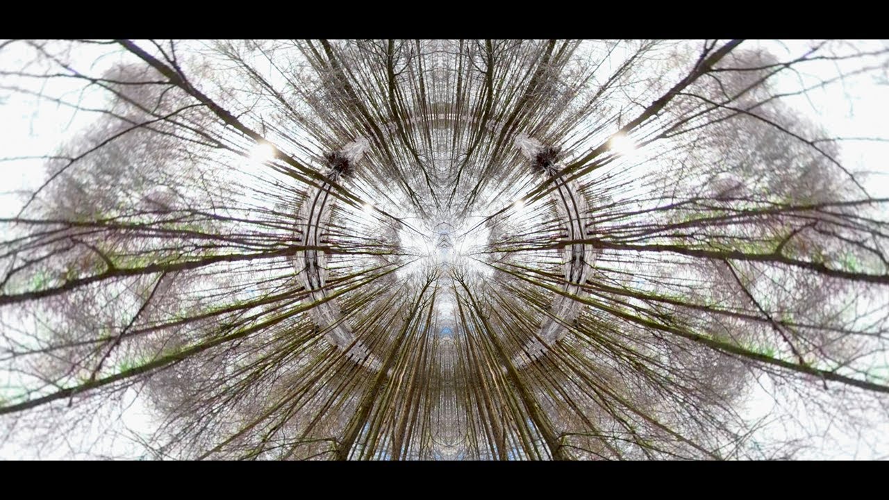 Video Art Project - Transform