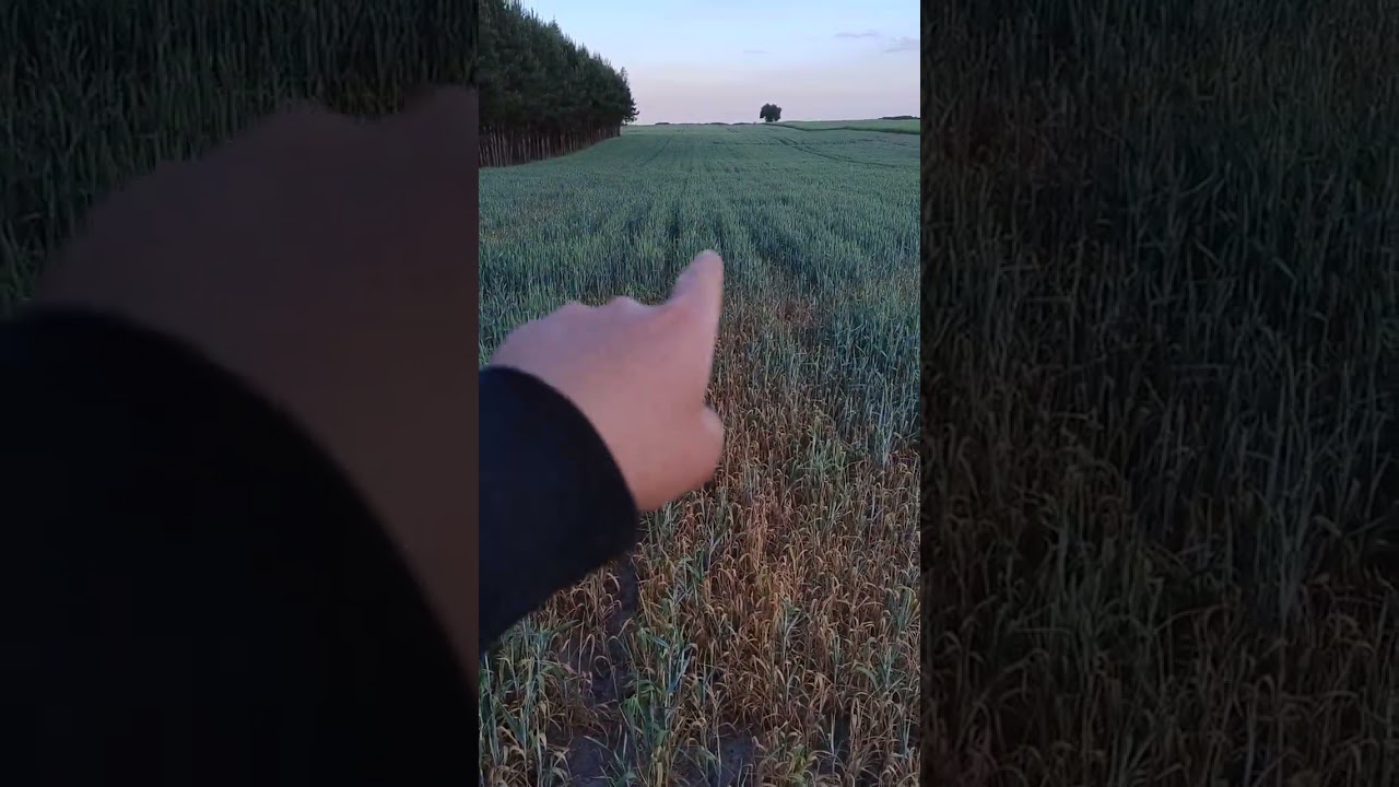 głeboszowanie piasku, czy ma sens??