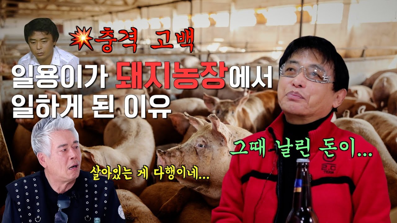 전원일기 일용이가 돼지농장에 갈 수밖에 없었던 이유ㅣ전원일기 레전드 일용이 박은수 등판!ㅣ클레먹타임 EP15