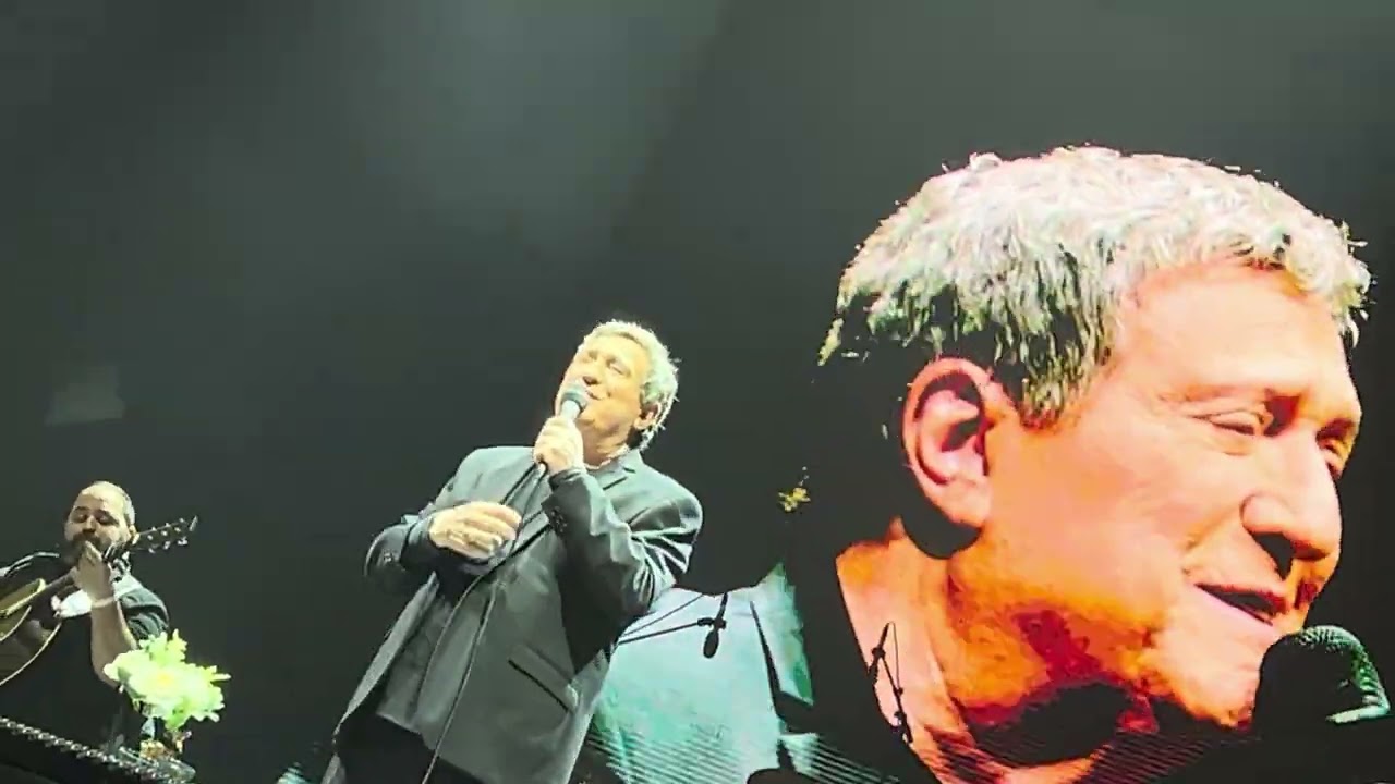 יורם גאון 2