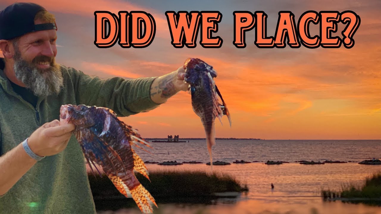 2400 Lionfish Destroyed Florida Lionfish Tournament!