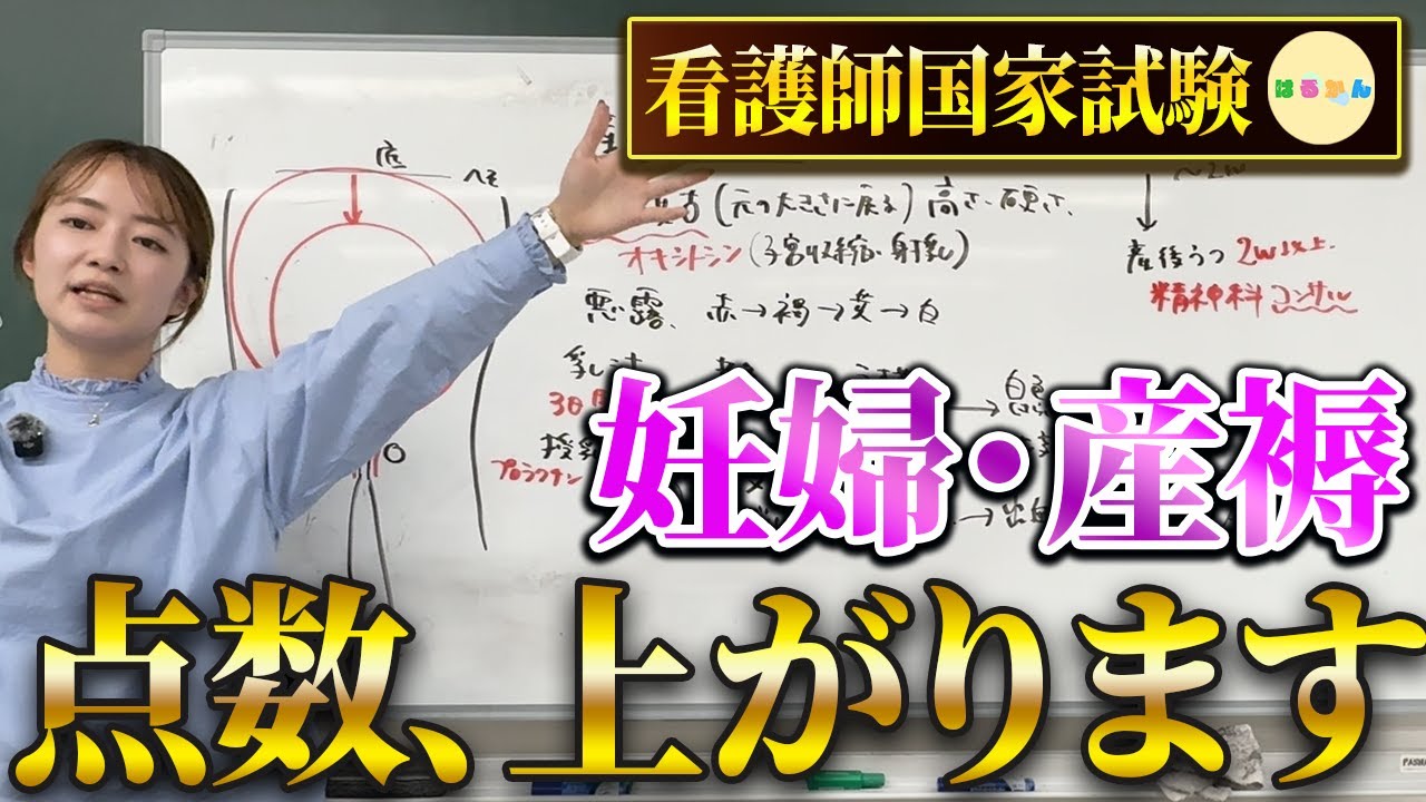 【妊婦の身体変化・褥婦の正常と異常】点数が上がるポイント、絞って解説！