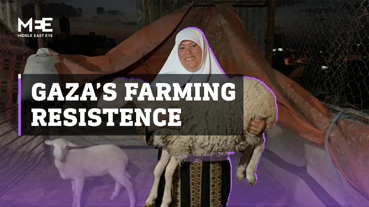 This Gaza woman is fighting off Israeli drones to keep her farm alive