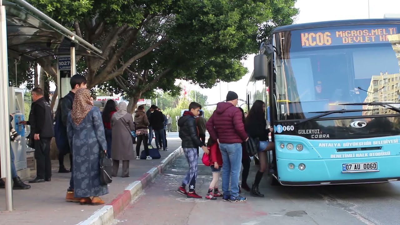 otobüs bekleme sanatı