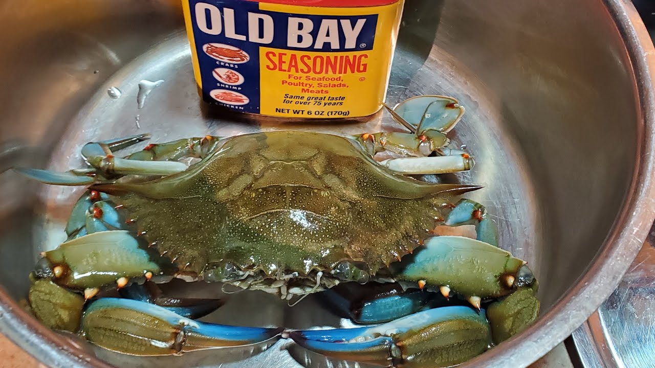 First Time Cooking Blue Crab LIVE