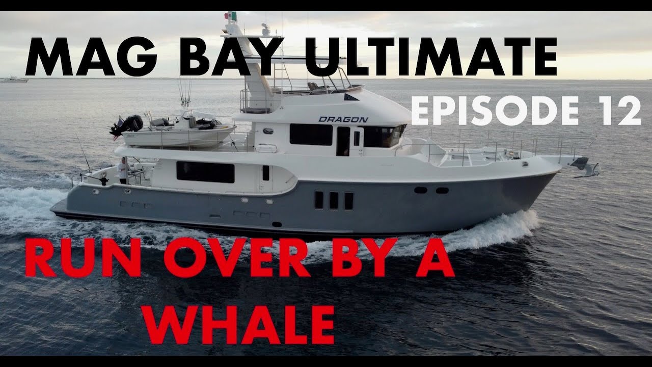 Episode 12  Mag Bay Ultimate