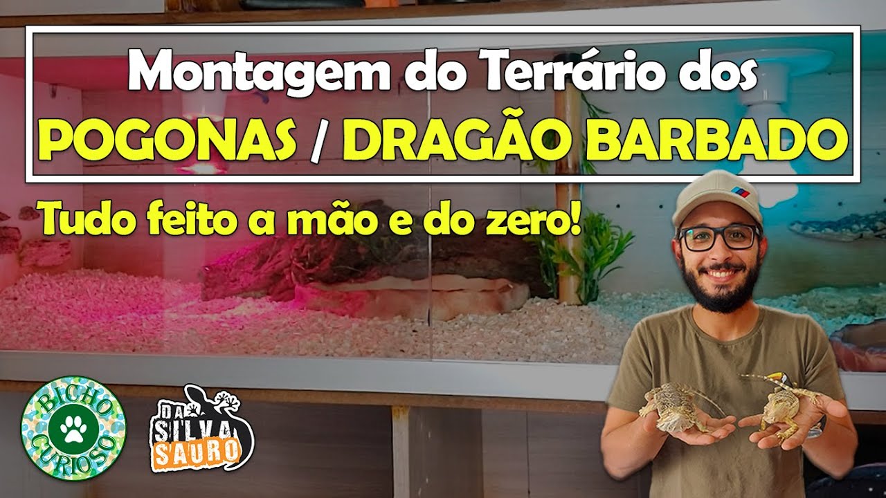 Montagem do Terrário - Pogona - Pt.1 | Bicho Curioso