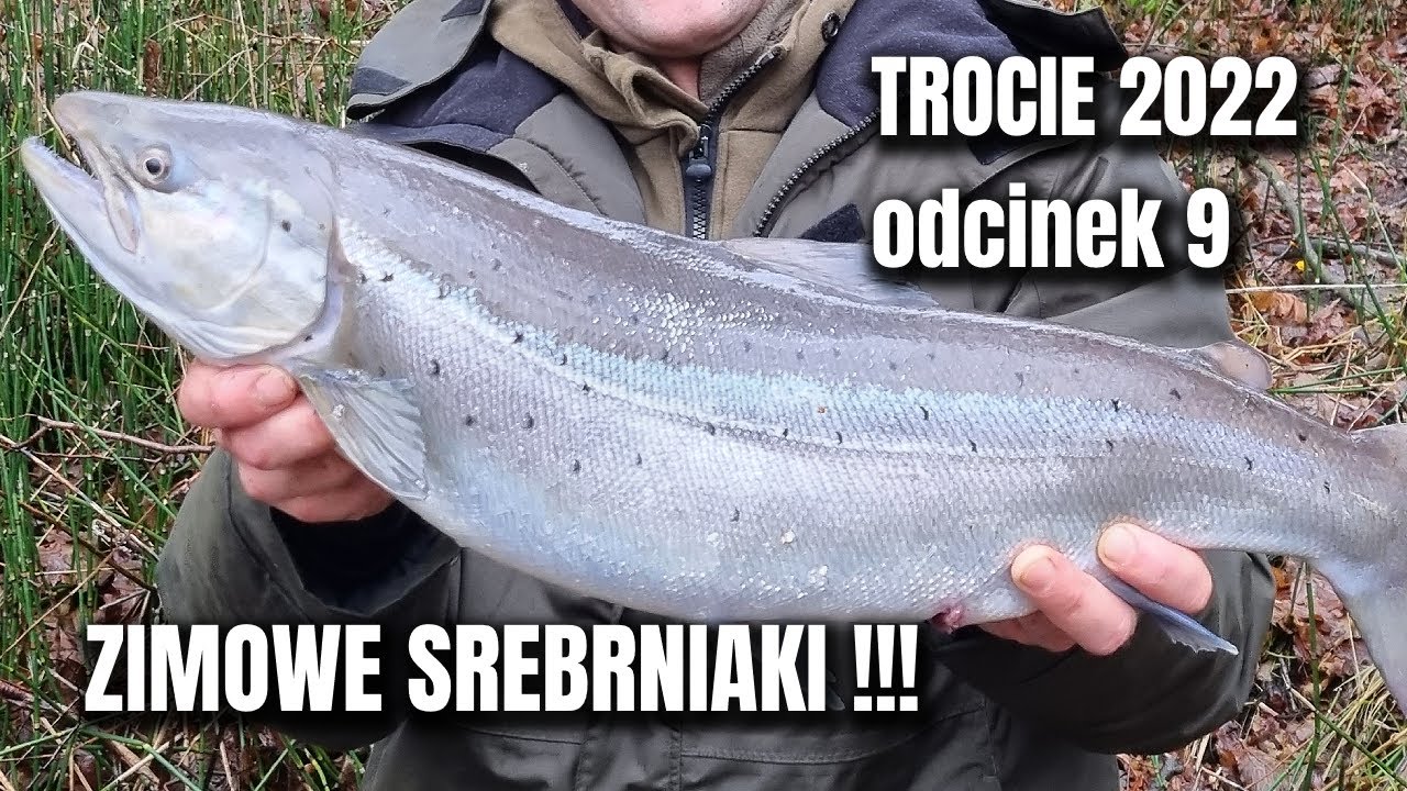 Zimowe SREBRNIAKI !!! Trocie 2022 odcinek 9