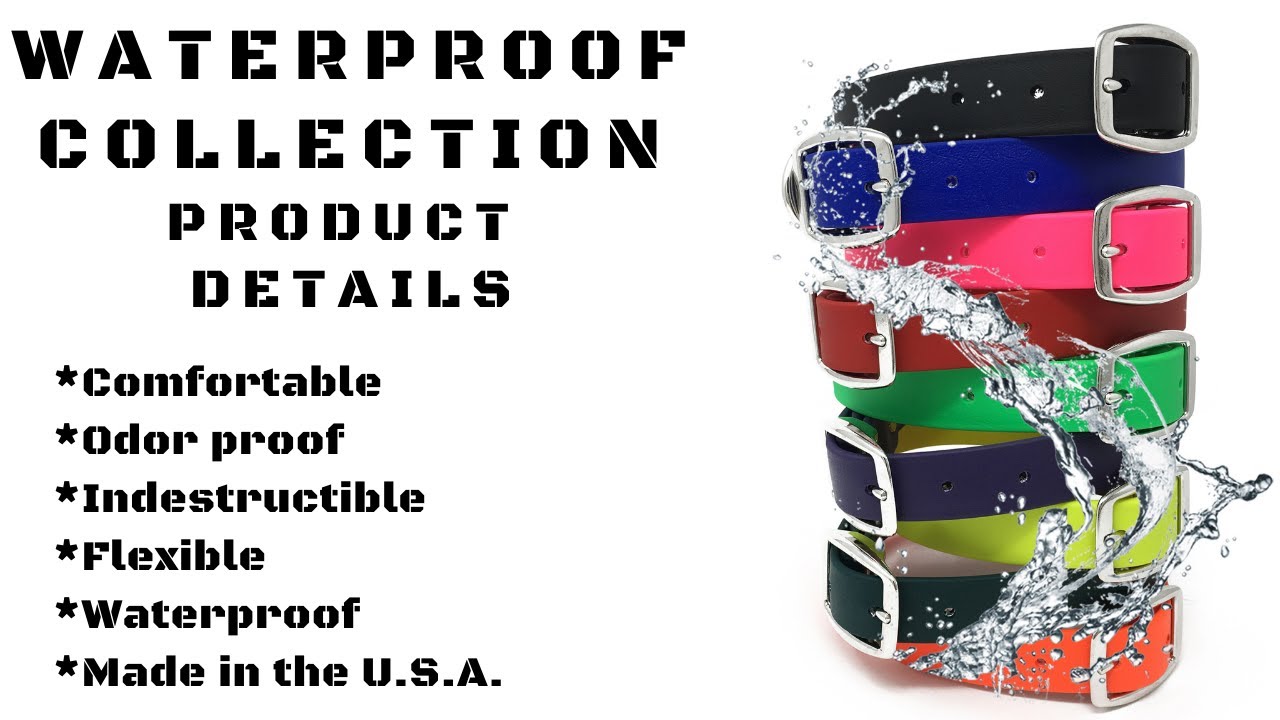 Product Overview: Waterproof Standard Dog Collar