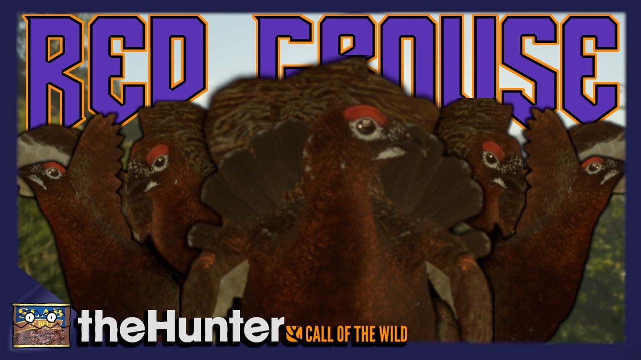 RED GROUSE REDEMPTION | Scottish Highlands Hunt | theHunter: Call of the Wild