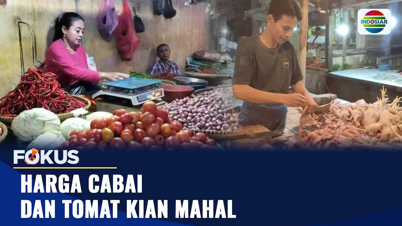 Harga Cabai dan Tomat Kian Mahal | Fokus