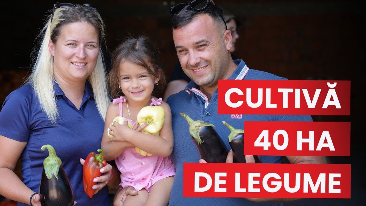 Cultivă 40 ha cu legume și livrează 95% din producție la Profi