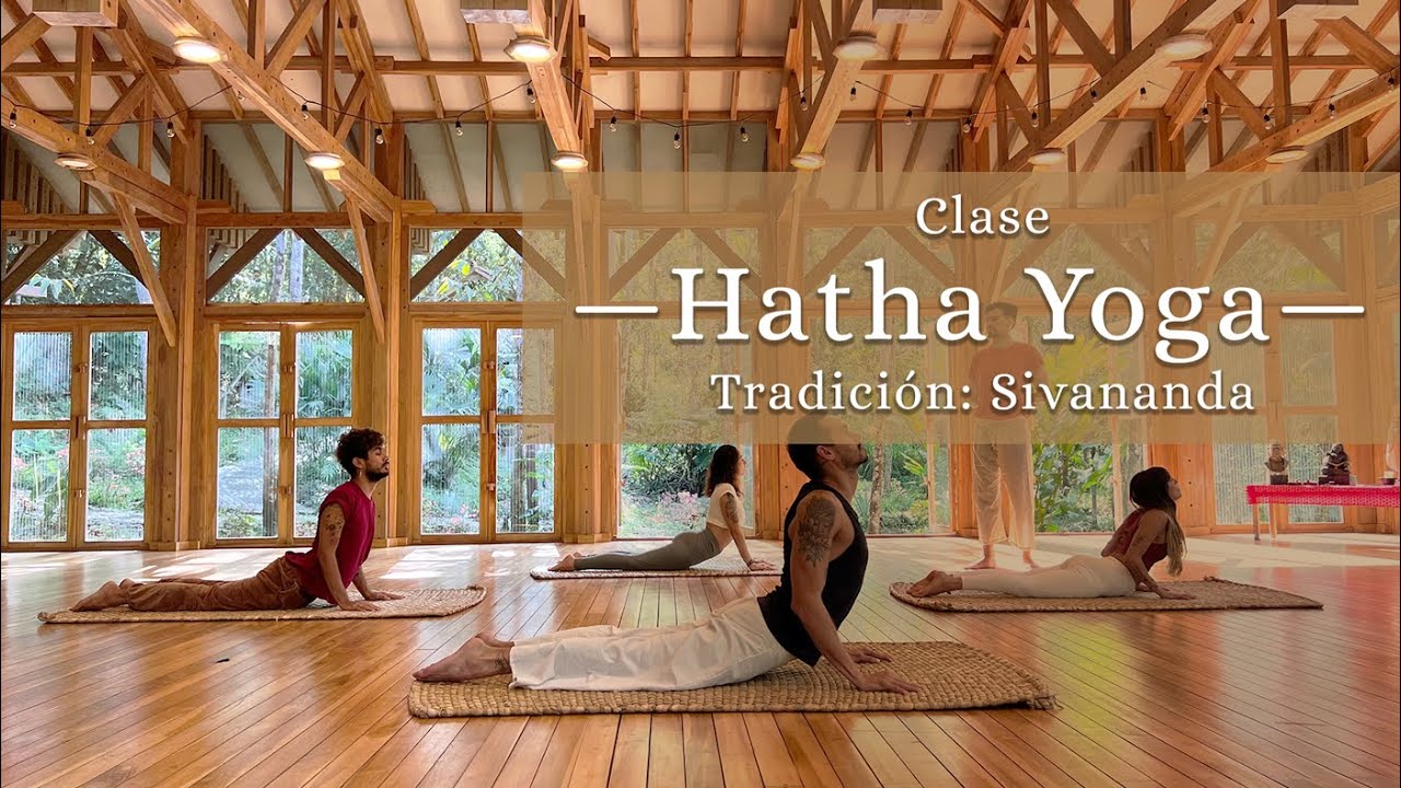 Clase de Hatha Yoga Intermedios y avanzados