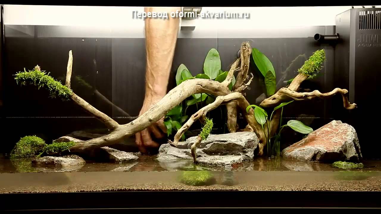 Дизайн аквариума на 180 литров от Tropica