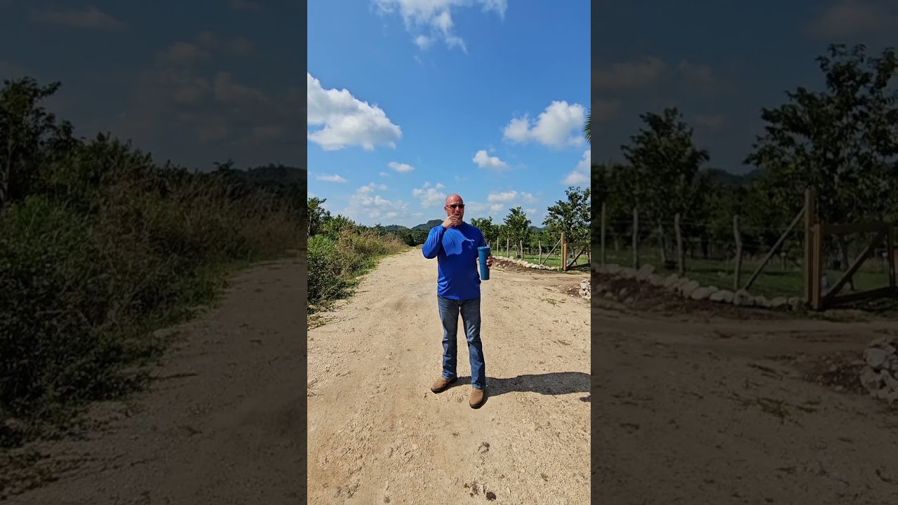 Living Off the Grid in Belize: A Journey to Freedom and Serenity