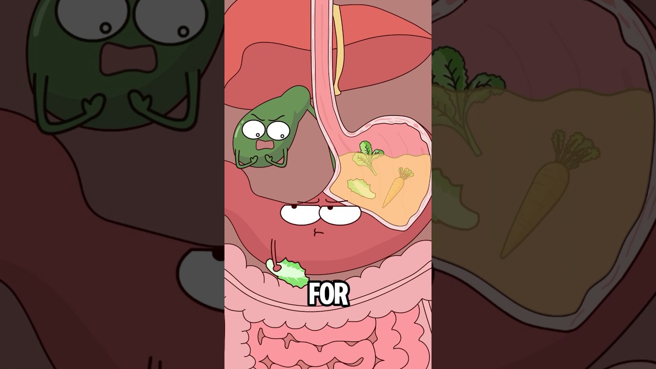 Why does your mouth taste bitter after eating?#animation #funny #shorts