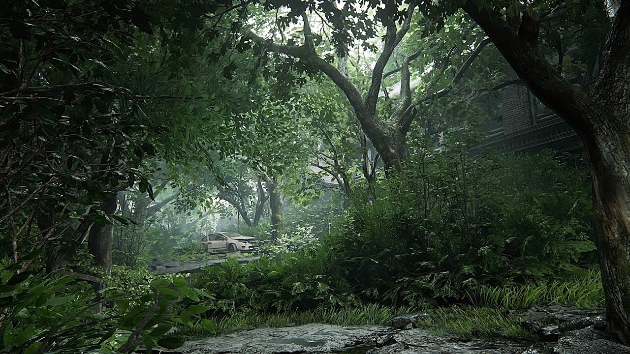 The Last of Us 2 - One Hour of Ambient and Nature Sounds | Post-apocalypse