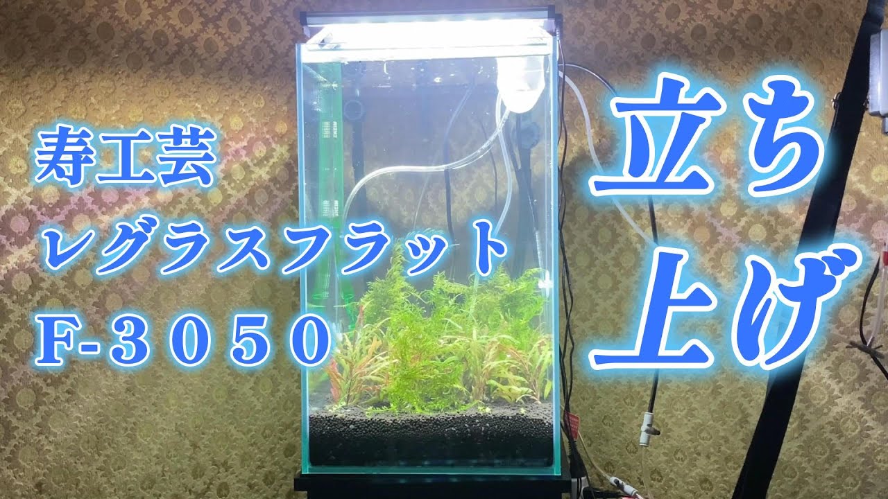 30cmスーパーハイタイプ水槽立ち上げ。