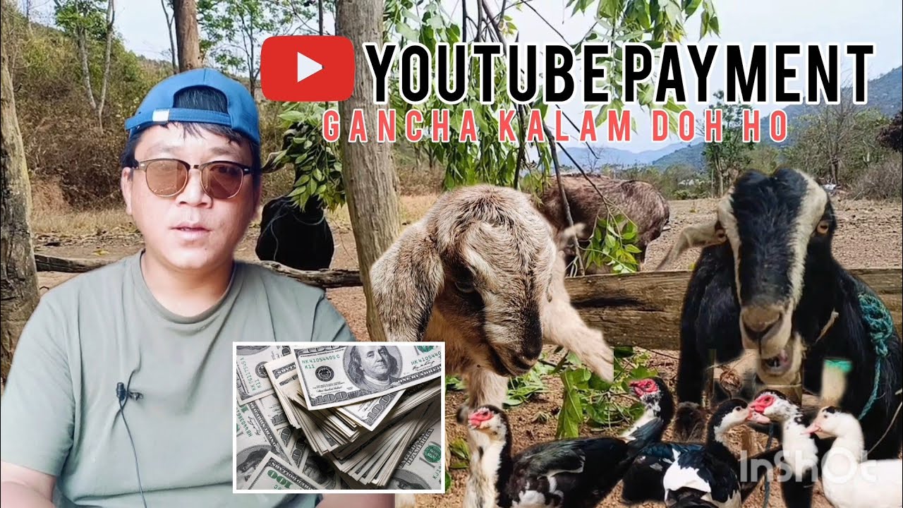 Youtube Payment akon 🦆 🐐 🐖 🐶 gancha kalem doh ho || 15 March 2026 || SML OFFICIAL 