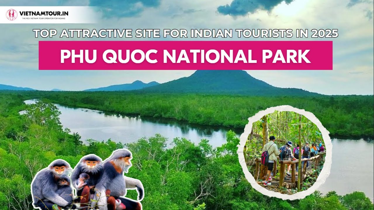 Phu Quoc National Park: A Must-Visit Natural Paradise in 2025