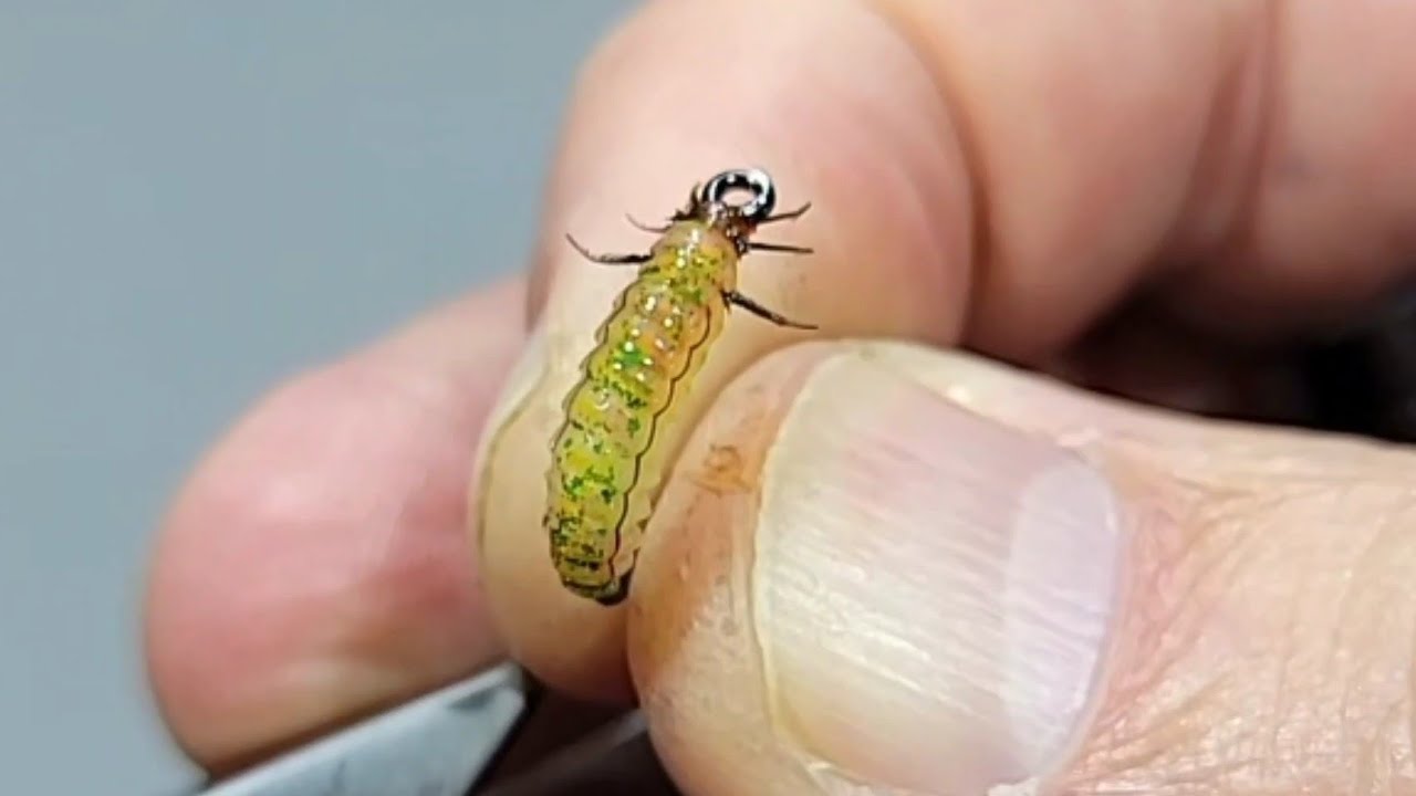 Freestyle Fly Tying: Creating Larva Fly Patterns that Fool Trout