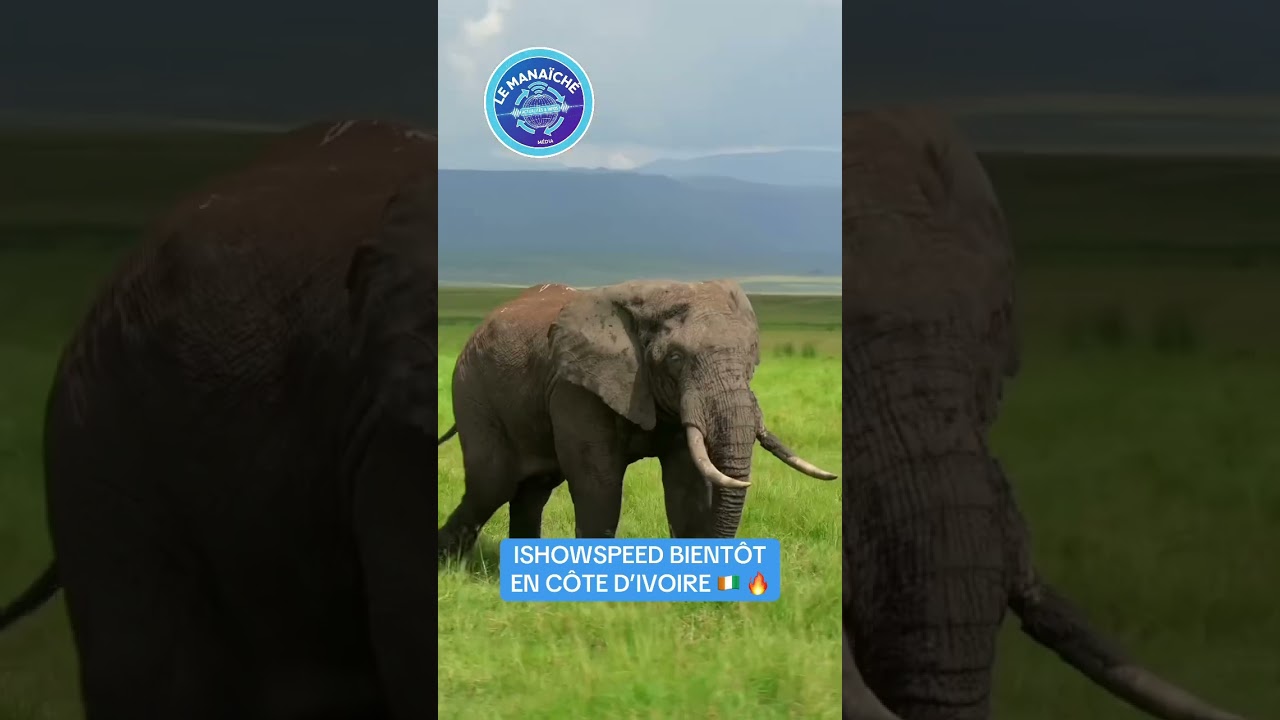 ISHOWSPEED DÉBARQUE EN CÔTE D’IVOIRE BIENTÔT 😱 