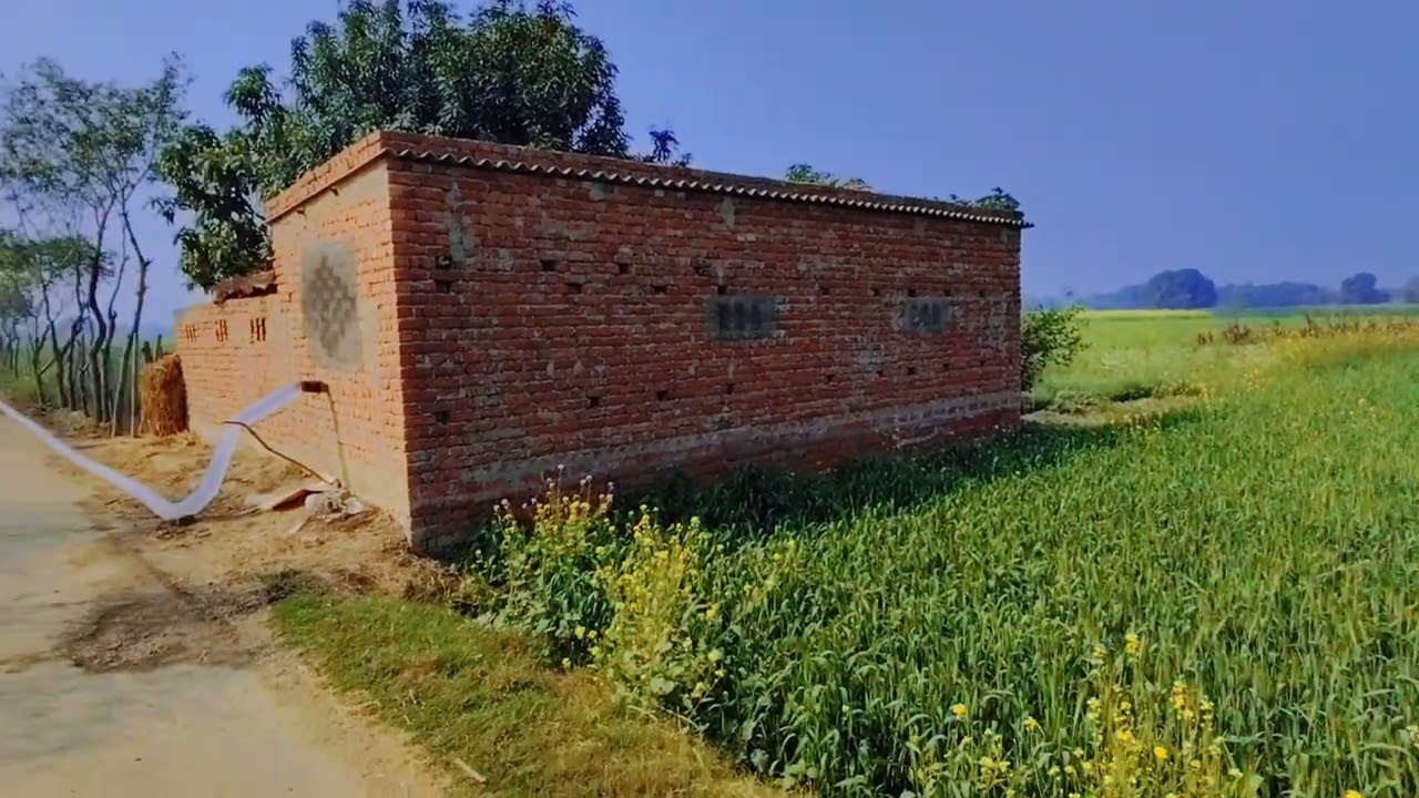 #villagevlog #villagelife #indianvillage#gaon #farmlife #rurallife#realindia #desilife #naturevibe 