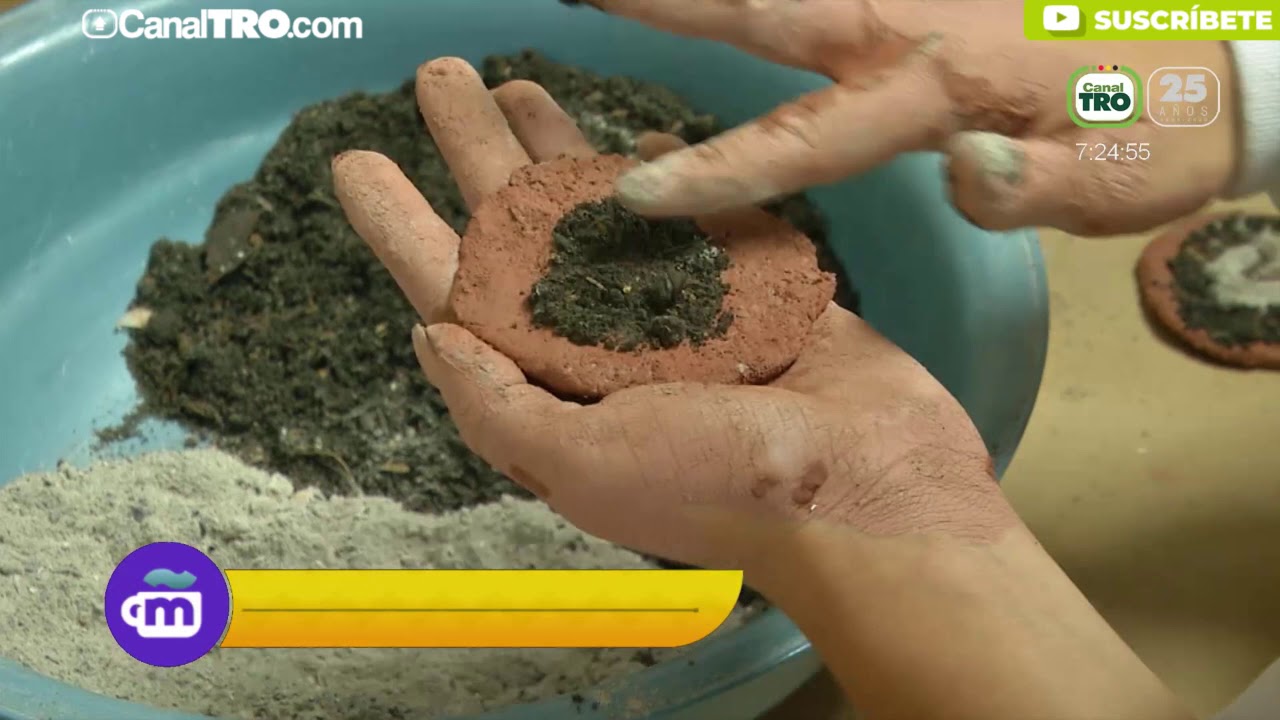 Estudiantes en Santander crean bombas de semillas para reforestar