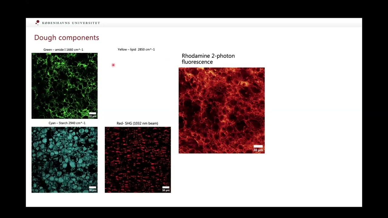 Label-free imaging to unveil wheat dough microstructure