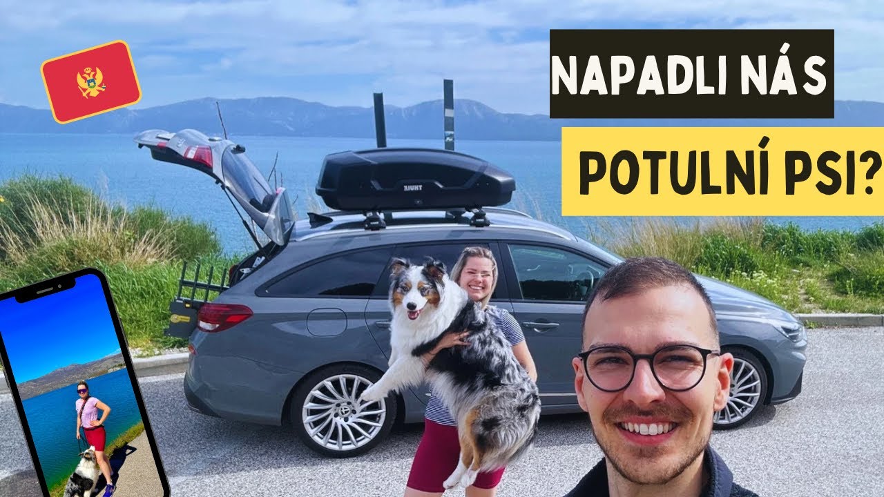 Se psem do Černé hory! 🌊🐶