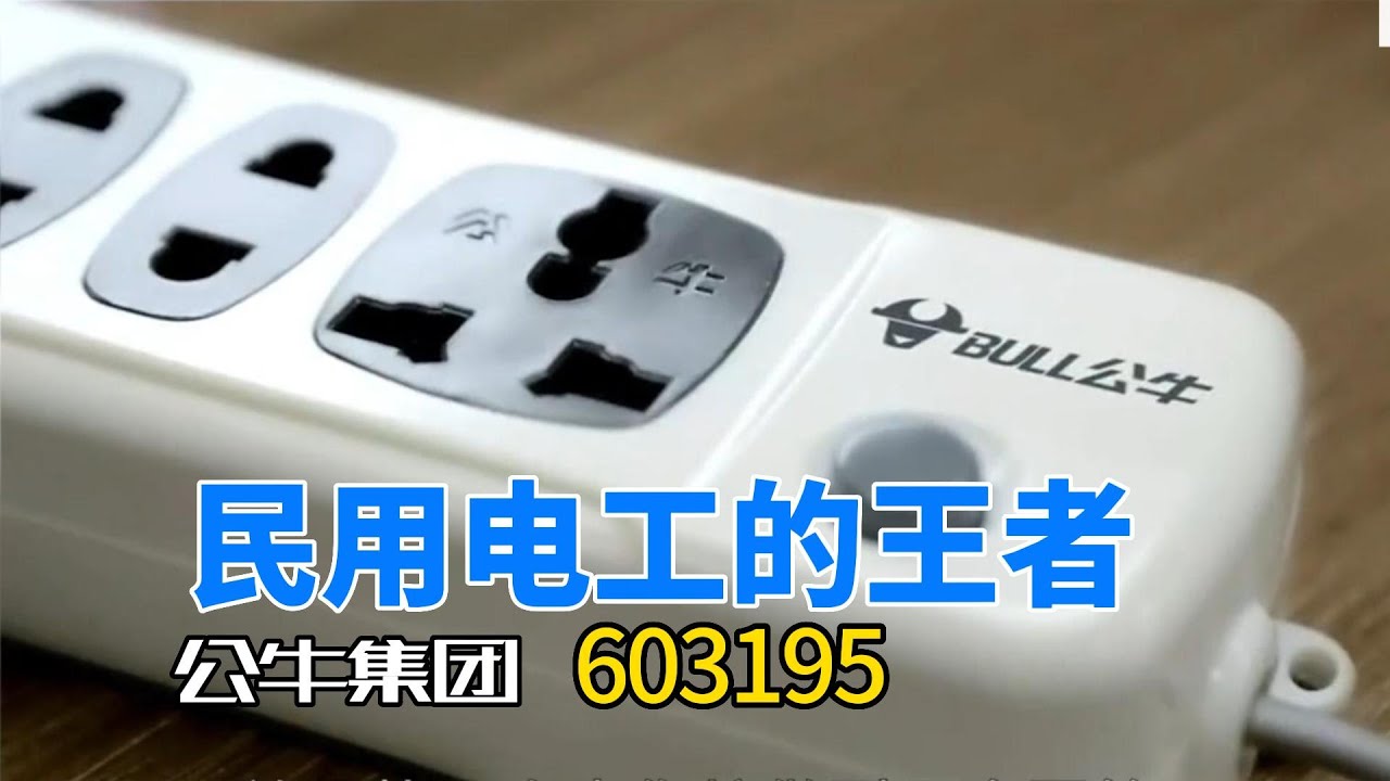 公牛集团 | 民营电工龙头 | 插座 | 603195 | 企业竞争力分析 |  行业风口