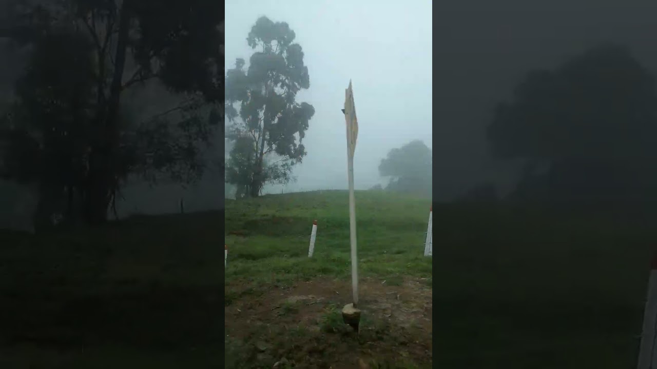 Próxima mente viaje al Amazonas