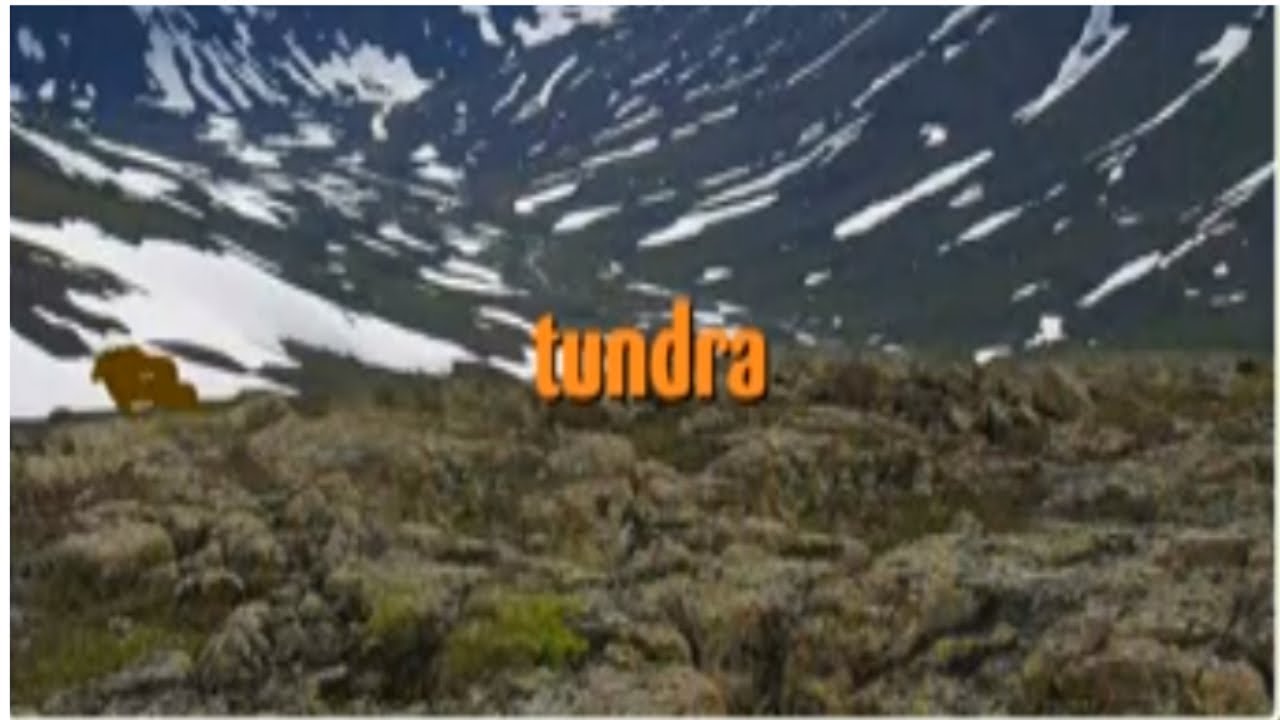 Eekoworld - The Tundra