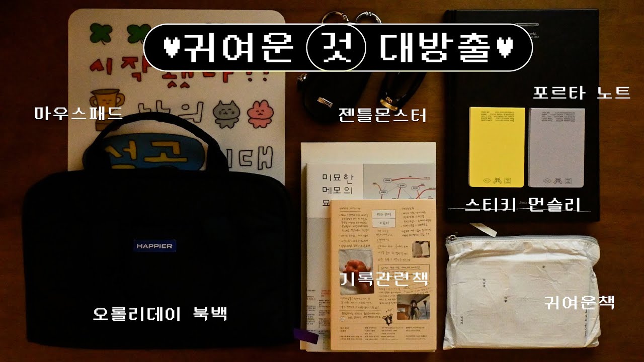 귀여운 것 대방출 :: 유어마인드 책, 땡스북스 책, 세일러즈 포르타 필사노트, 오롤리데이 북백, 최고심 마우스패드, 젠틀몬스터 로랑01, 접이식 선글라스, 플래스 스티키 먼슬리