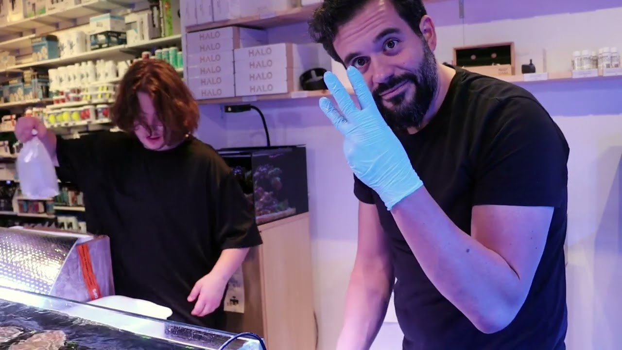 Ultimate Coral Unboxing!  - VLOGCAST #2