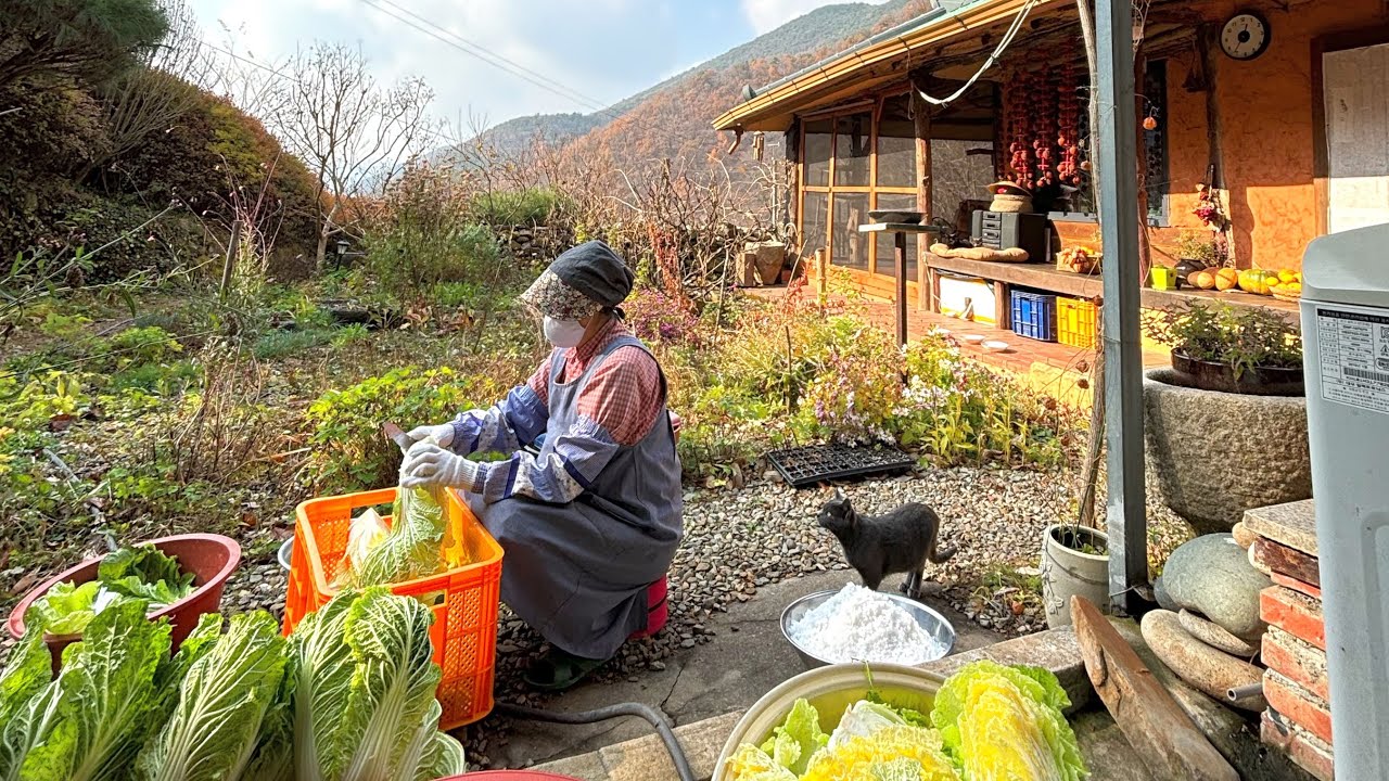 Приготовление кимчи из выращенных дома овощей 🥬🌶️❄️ | Снег, посадка луковиц, ручное шитье