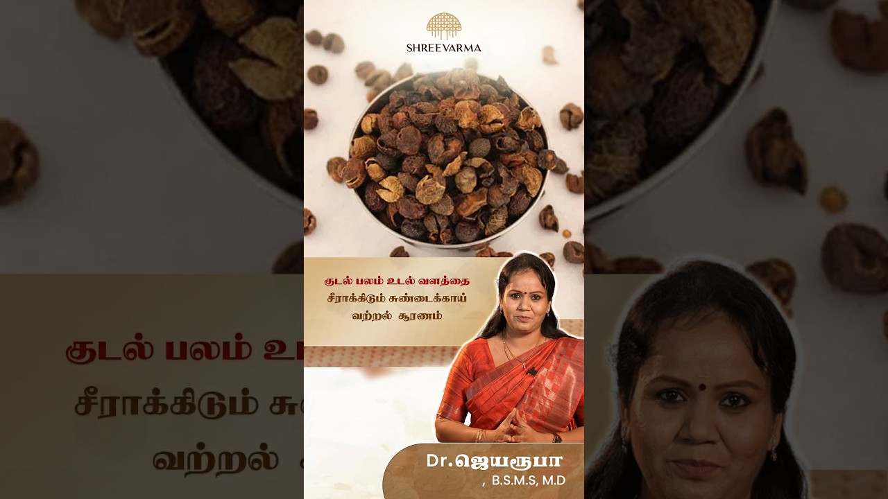 குடல் பலம் உடல் வளத்தை சீராக்கிடும் சுண்டைக்காய் வற்றல் சூரணம் ! Dr. Jeya roopa