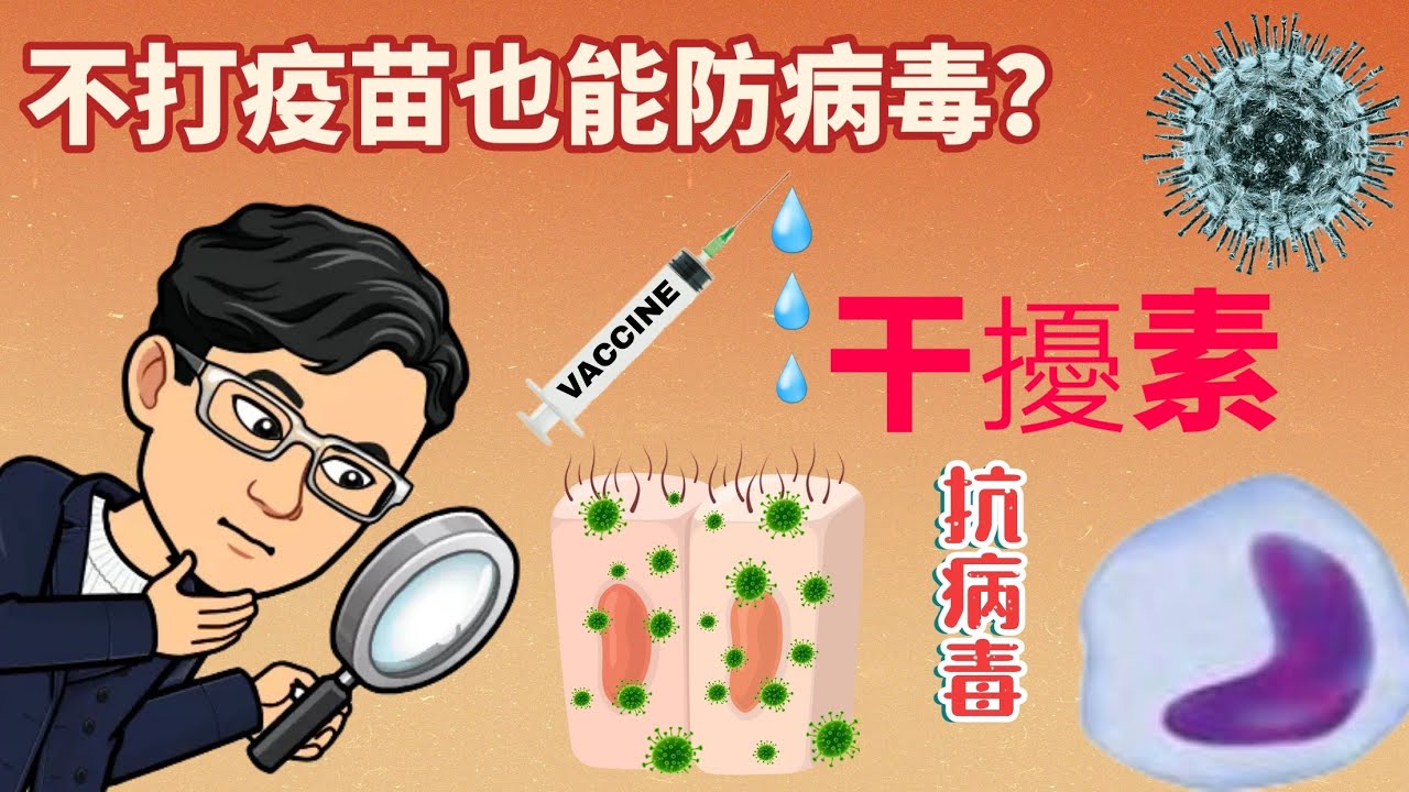先天免疫第二道防線,干擾素的威力,自然殺手細胞,巨噬細胞,樹突細胞的功能性與疫苗產生抗體不同的消滅病毒方法,醫檢師,天空哥說健康