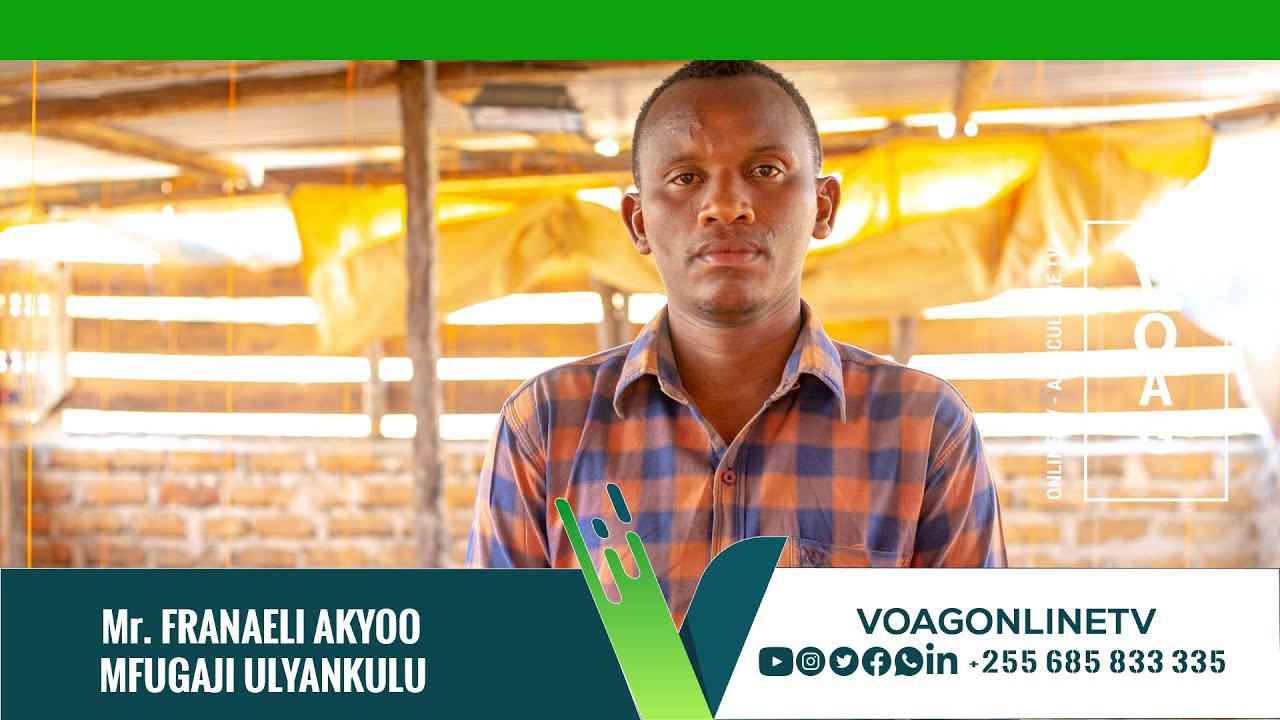 FRANAELI THOBIASI AKYOO  MFUGAJI ULYANKULU TABORA