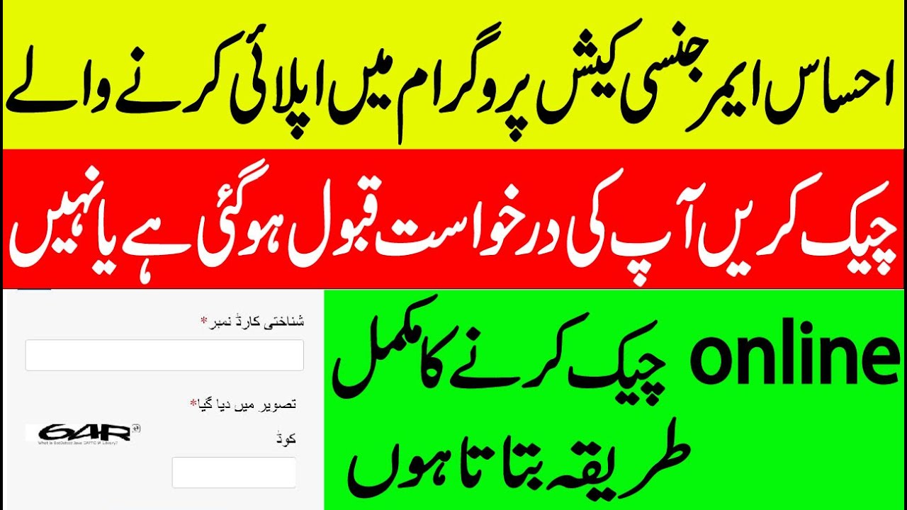 how to check your ehsaas emergency cash program application