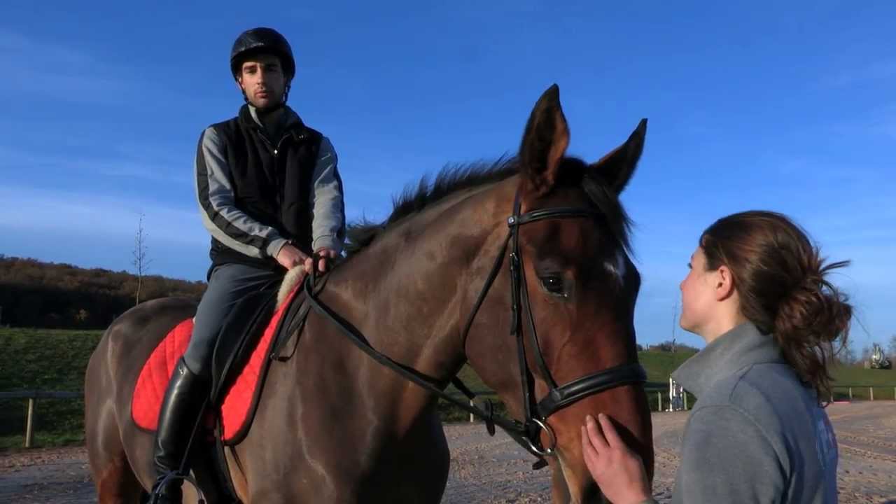 Mon cheval répond à mes ordres - Equidia Life