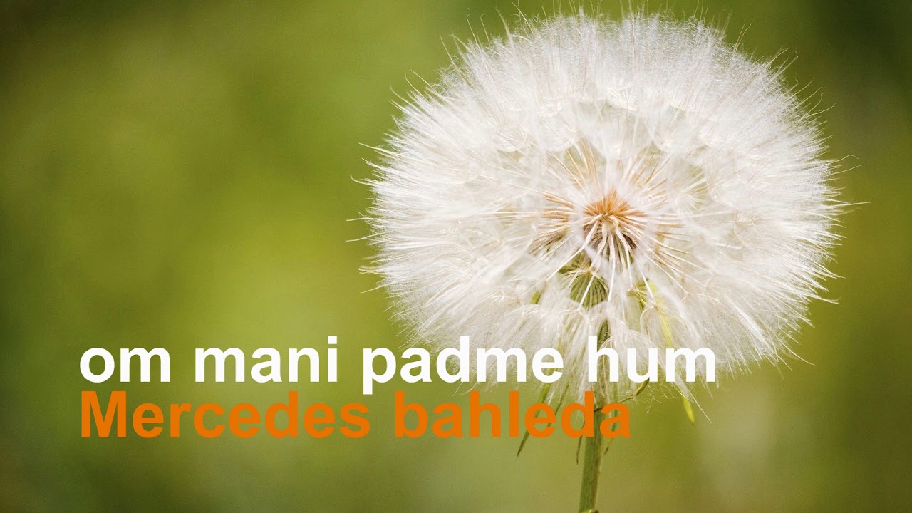 mercedes bahleda om mani padme hum