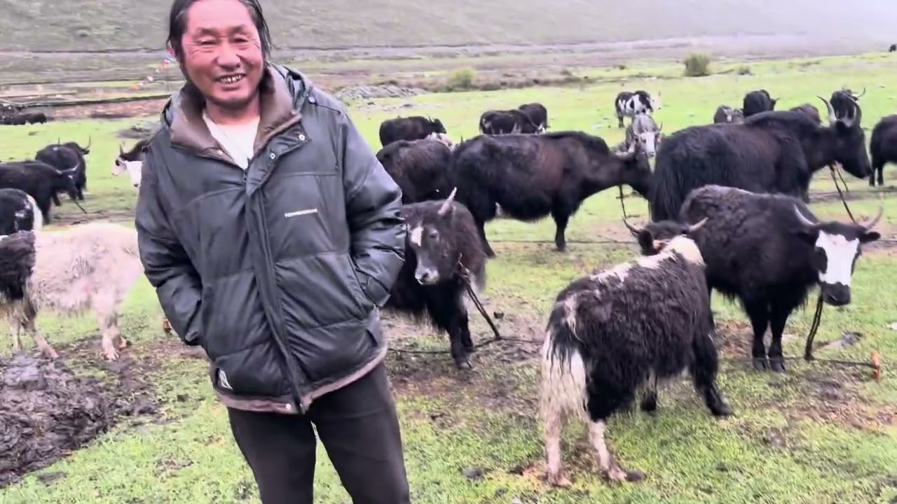 Episode 2 in Tibet བོད་ནང་དུ་སོང་བའི་ལེ་འུ