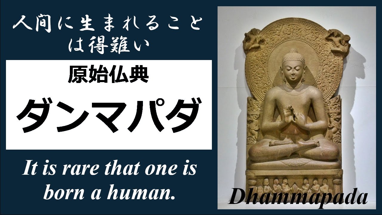 ゴータマ・ブッダの名言！原始仏典「ダンマパダ（法句経）」をやさしい言葉で 【24分解説】