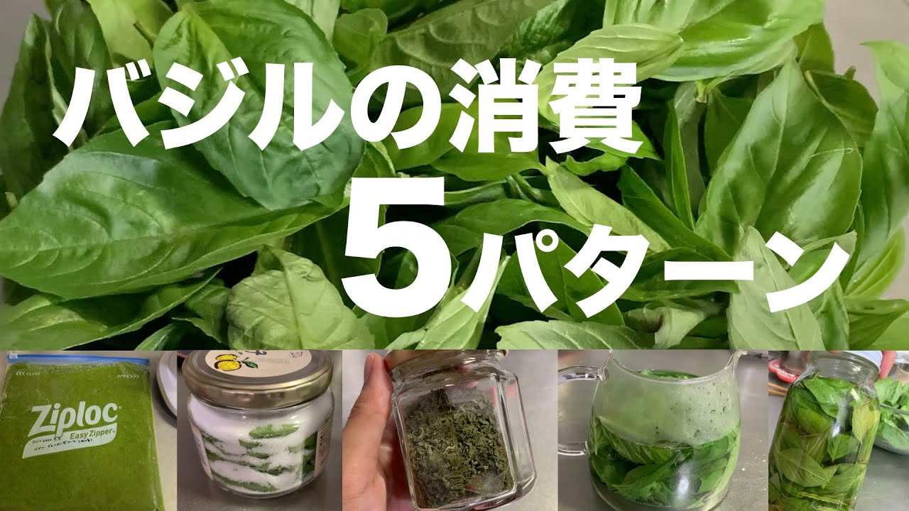 育てたバジルを一気に大量消費する方法